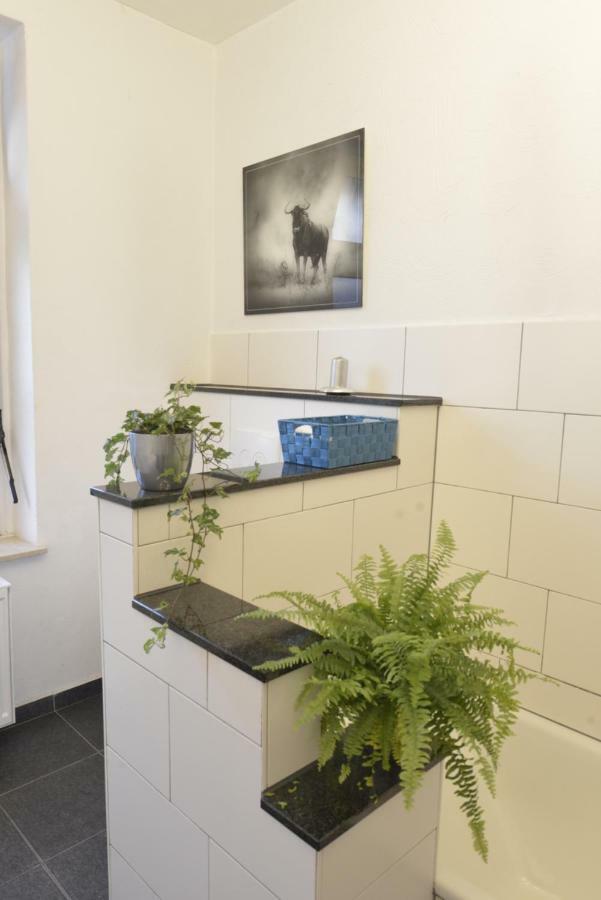 Kaiserliche Hofpost, Mit Whirlpool Und 2 Terrassen 슈라이덴 외부 사진